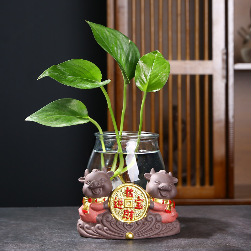 水培铜钱草花盆水养花瓶玻璃透明绿萝睡莲碗莲金钱草家用特价清仓