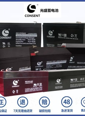 CONSENT蓄电池 GS12V1.3 3.3 4.5 7.5 8 9 17 12V2.2AH/20HR 电池