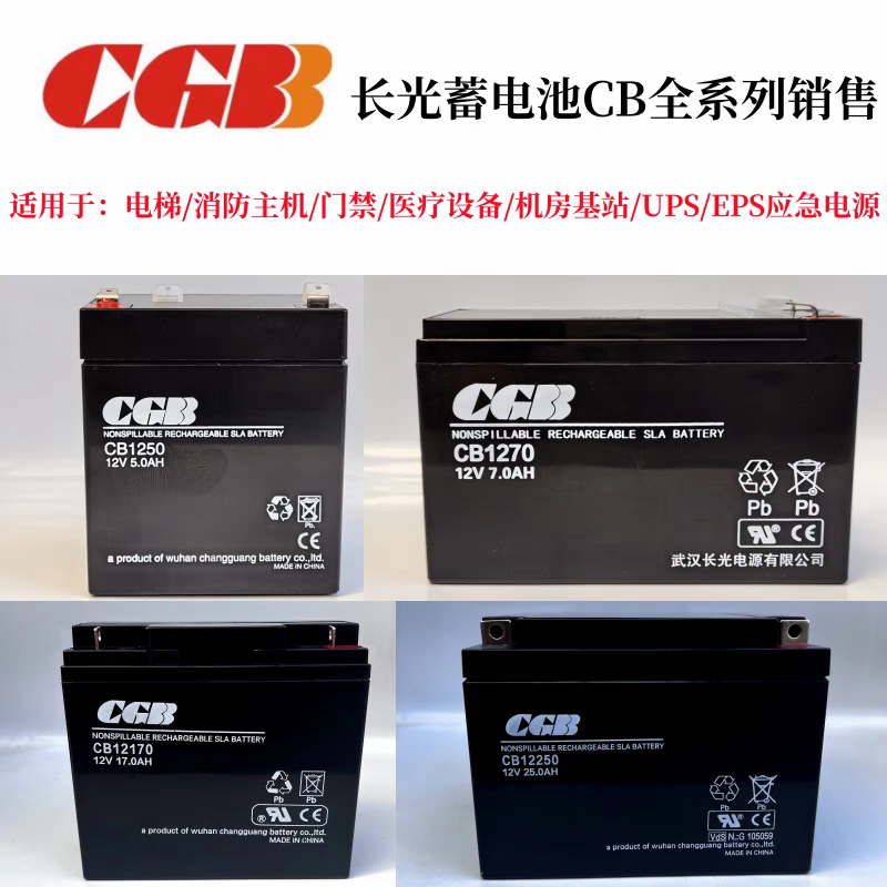 CB1250CGB12V5AH应急电源