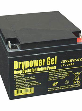 Drypower Gel 蓄电池 12GB24C 12V 24AH 免维护铅酸电池