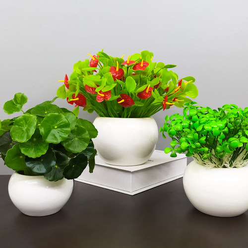 塑料绿植物桌面摆设多肉仿真花