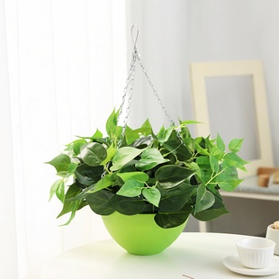 假绿萝绿植墙面挂饰室内外吊篮壁挂墙壁装饰仿真植物花藤假花藤条