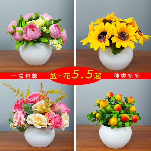 塑料家居盆栽小摆件室内仿真花