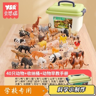 动物模型儿童仿真玩具仿生男孩女孩3到6岁野生老虎可啃咬2025XZ28