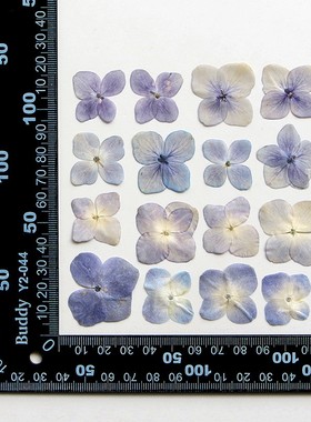 绣球红宝石本色 押花干花手工滴胶手机壳UV饰品配件书签 植物XZ89