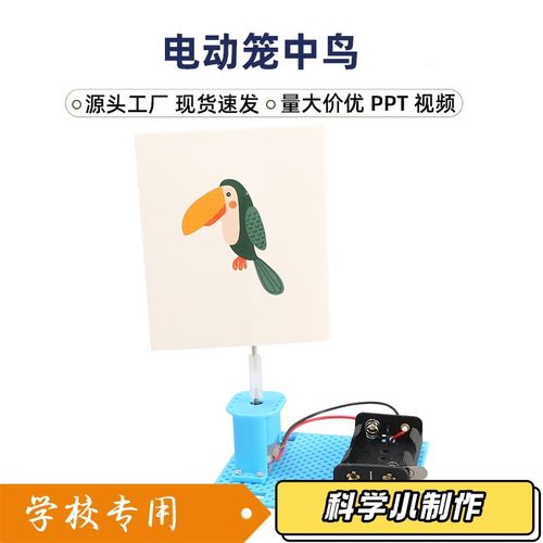 学生diy自制科技小制作视觉停留电动笼中鸟科学实验儿童益智XZ72