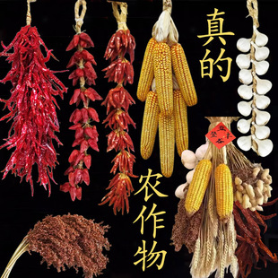 五谷杂粮乔迁摆件干红辣椒串挂件庆典墙面装饰真大蒜玉米麦穗挂饰