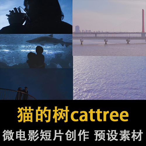 猫的树cattree短片微电影拍摄手法教程运镜稳定器构图滑轨短视频