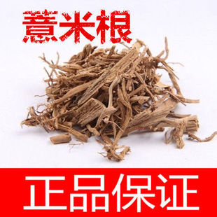 薏米根新货 米仁根 材薏苡根 薏苡仁根 薏米仁根 正品包邮真货