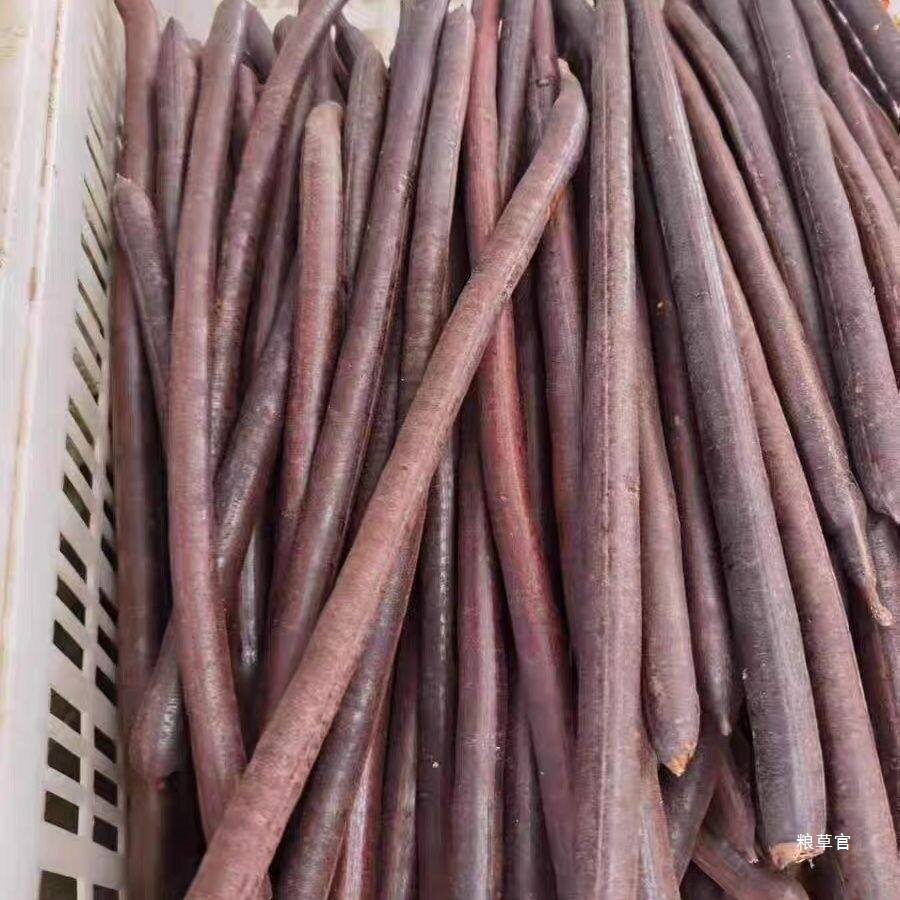 热卖大解果 便秘果拉屎果便便果