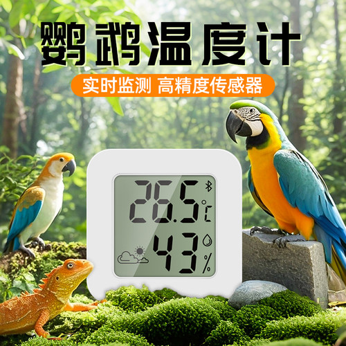 温度计鹦鹉爬宠养殖迷你高精度