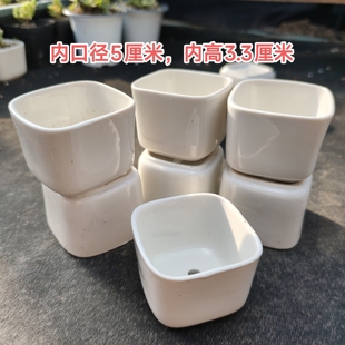 陶瓷花盆枝干番杏蜜橘糖球多肉植物专用方形白瓷盆简约大气