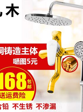 凡木全铜淋浴花洒套装纯铜冷热水龙头升降家用雨沐浴洗澡喷头神器