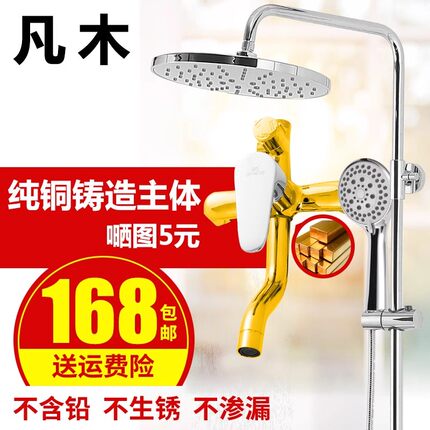 凡木全铜淋浴花洒套装纯铜冷热水龙头升降家用雨沐浴洗澡喷头神器