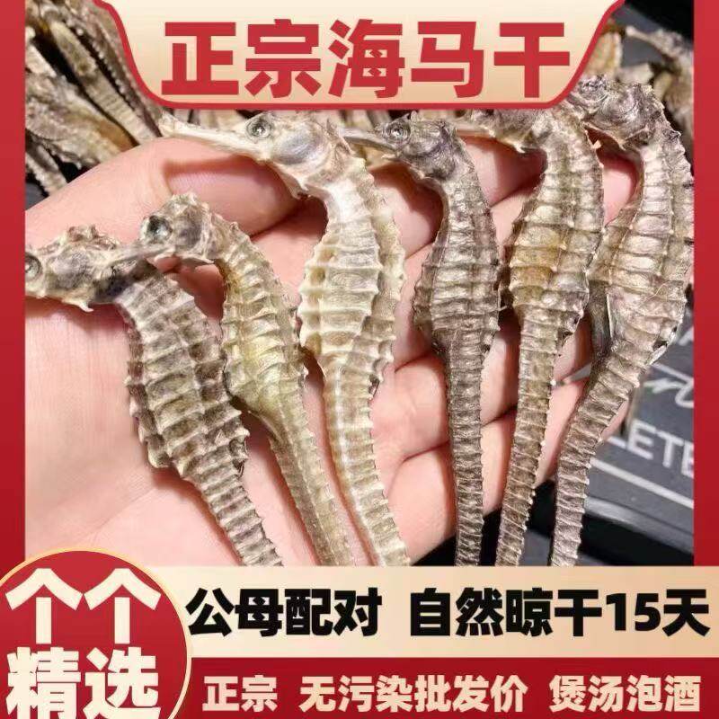 正品海马一对10克左右海马干货补品三斑泡酒公母配对中草药