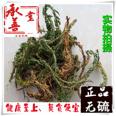 小叶千层塔中药材 500克包邮千层塔 蛇足 虱子草 毛青杠 千层塔草