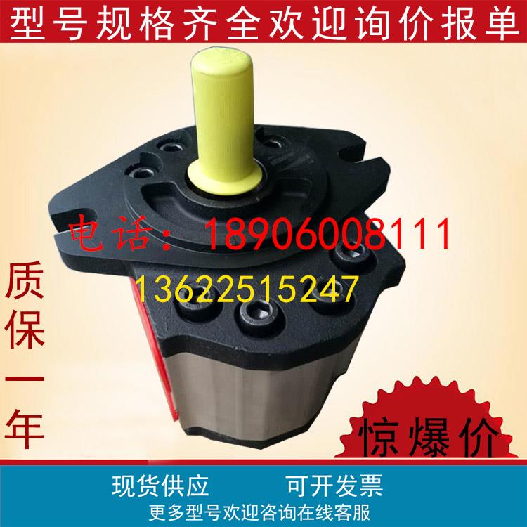 GR28-2V-010-F1AC3意大利ETTIMA螺杆泵齿轮泵GR28-2V-013-F1AC3