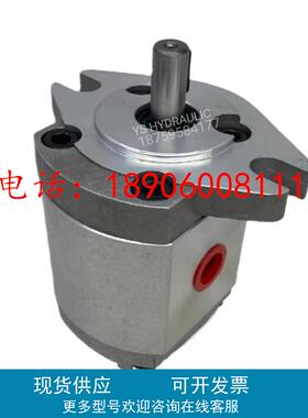 康百世P101RP01GT齿轮泵P102,P127,P135,P104,05,P106/7/9油泵