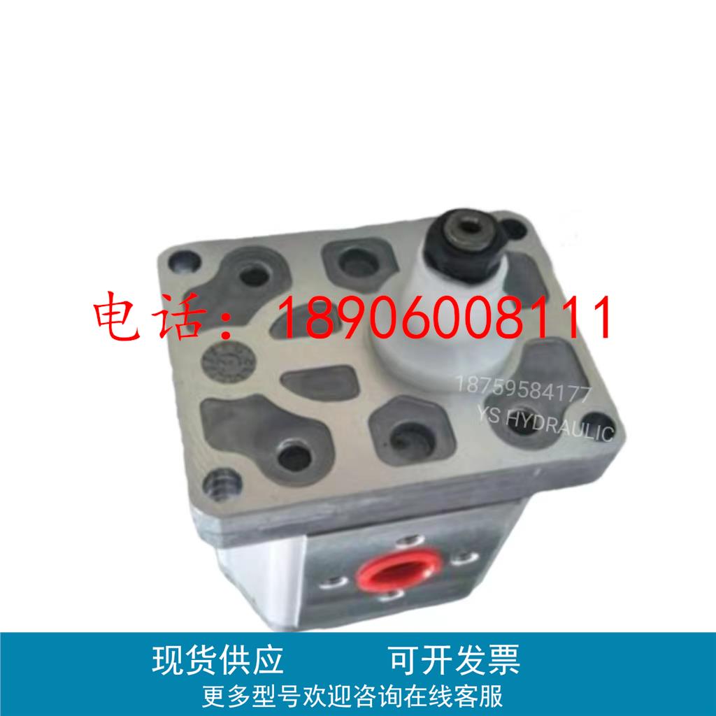 萨澳SAUER丹佛斯齿轮泵SNP2NN/4.0/6.0/8.0/014/017RN01液压油泵