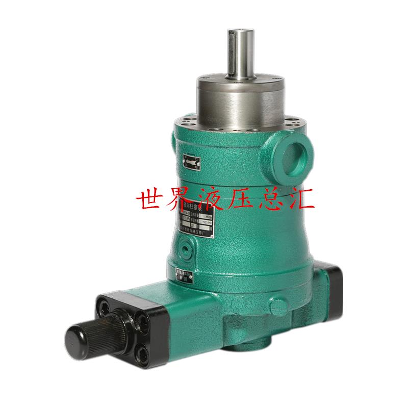 启东液压10SCY 25 40 63 80 108 100SCY 160SCY250SCY14-1B柱塞泵