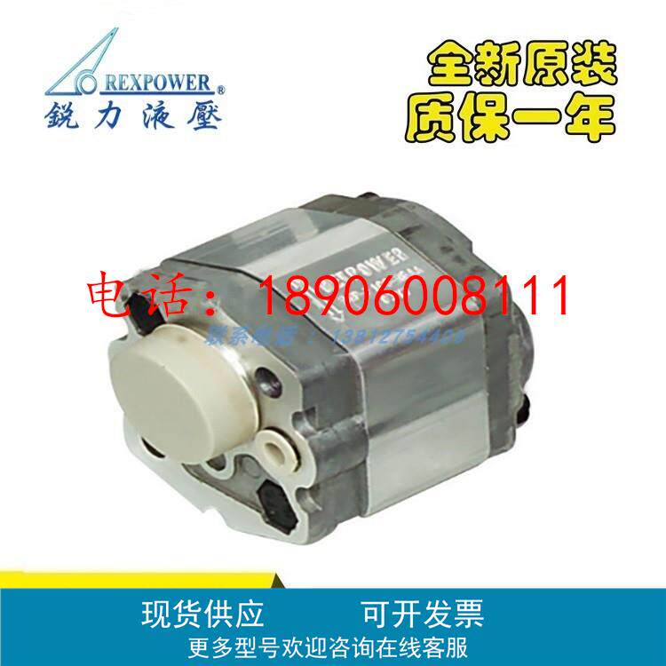 台湾锐力REXPOWER齿轮泵RGP-F106/F110/F116/F120/F125/F130/140R