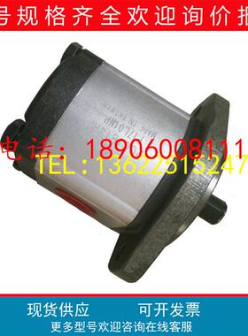 1AG1P13R全新1GG1B0SR农业机械1GG1B01R液压1GG1B02R油泵1GG1B27R