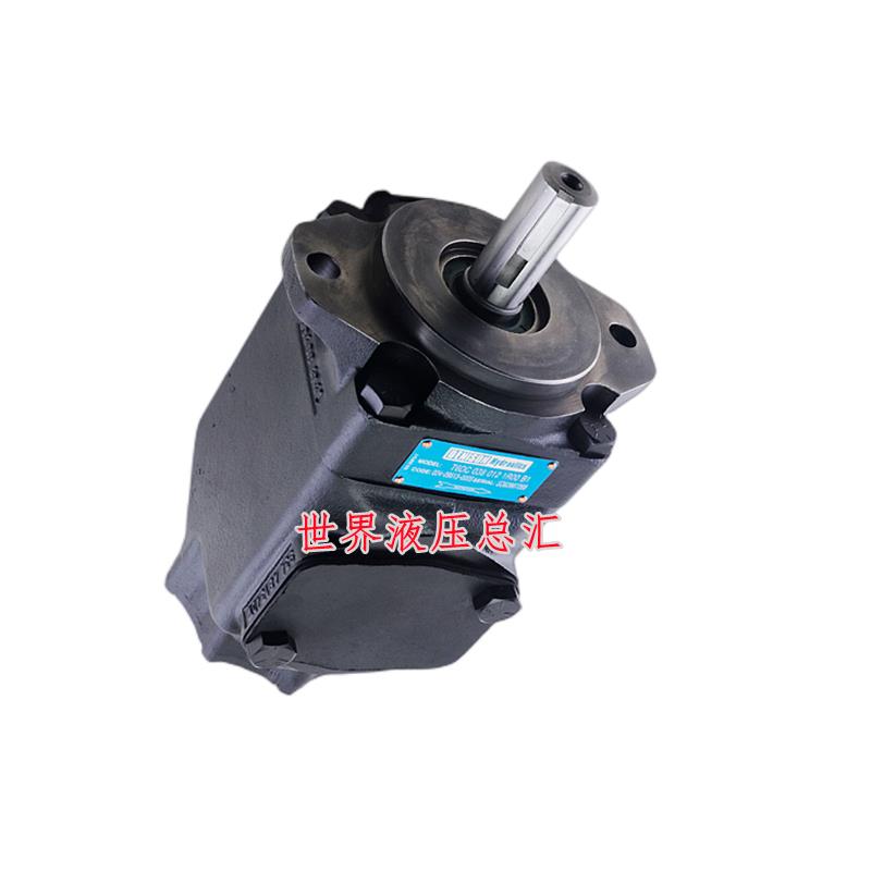 丹尼逊T6DC 038 014/012/010/008/006/005/003 1R/2R/3R00 B1油泵