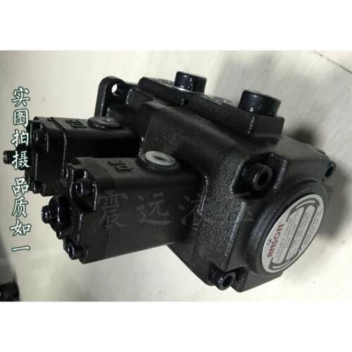 台湾安颂ANSON PVDF-355-320-10 PVDF-355-335-10双联泵