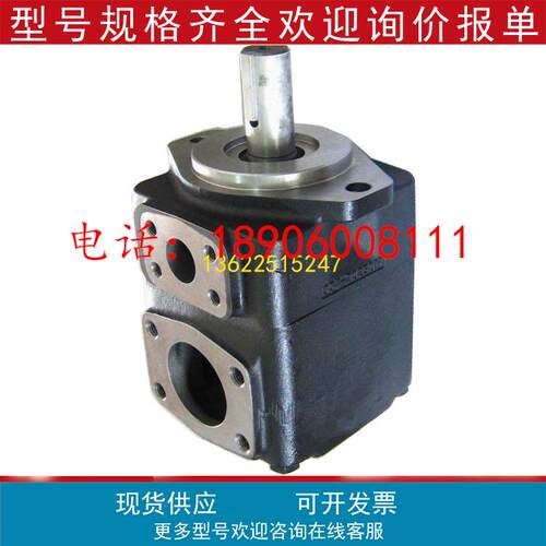 原装DENISON丹尼逊切纸机叶片泵T6DC-038-012-1R00-C100