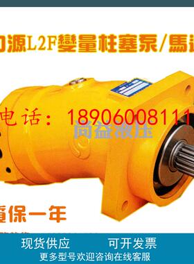 贵州力源北京华德A2F107W1Z2 L2F107W2P3/R2P3 L2F107W2Z23油泵