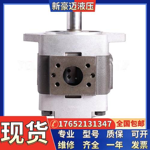 德国进口福伊特齿轮泵VOITH/MVT-IPVP4-25-171注塑机伺服油泵