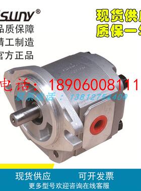 台湾RISUNY朝田齿轮泵P102RP01G P216RP10DT P233RP01D液压泵