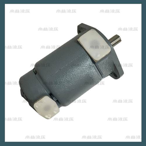 ANSON 台湾 安颂IVP21 IVP31 IVP32 IVP41 IVP42 IVP43双联叶片泵