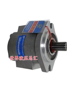 合肥长源液压合力叉车CBKC-G436-AT/CBKa-G425-AT齿轮油泵全新