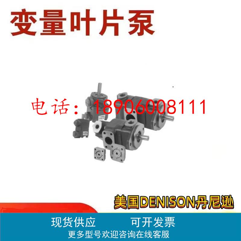 法国DENISON丹尼逊叶片泵T7D-B42-1R00-A1M0 T7DB-B43-B10-1R00-A