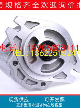 1GG1P09R全新1GG1P10R、1GG1P11R塑料机械1GG1P13R齿轮泵1AG1P05R