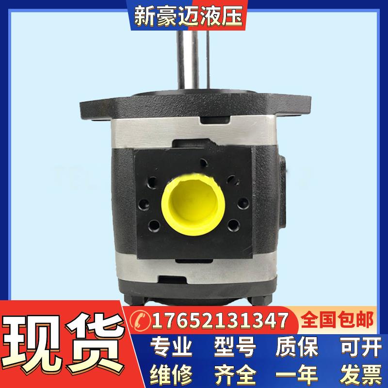 德国原装福伊特齿轮泵voith 注塑机伺服油泵IPV5-64-101液压油泵