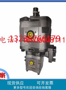 IPH-66B-80-80-11日本不二越油泵IPH-66B-100-125-11双联泵 现货