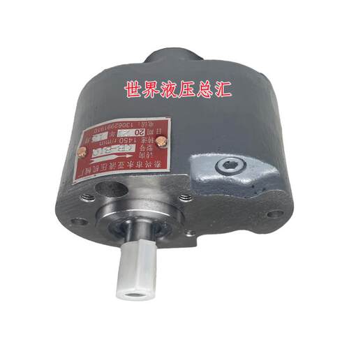 CB-B10/B6/B16/B20/B25/B32/B40/B50/B80/B63/125F齿轮油泵小型TH