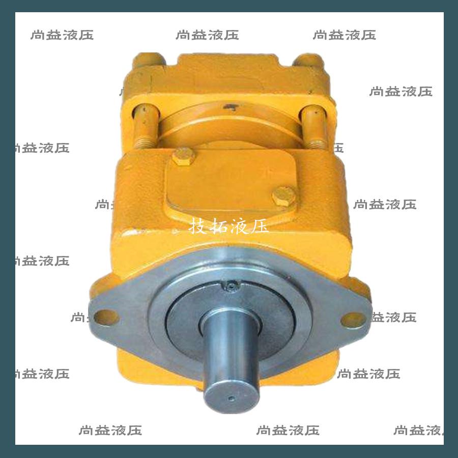 原装日本住友液压油泵SUMITOMO内啮合齿轮泵QT23-5F-S1010-A油泵