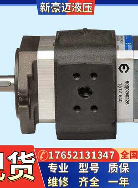 原装进口德国艾可勒ECKERLE齿轮泵EIPS2-022RA04-10 S111齿轮油泵