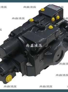 柱塞泵 总成 A10VD 43SR1RS5-962-2液压泵A10VD43 A10VE43 主泵