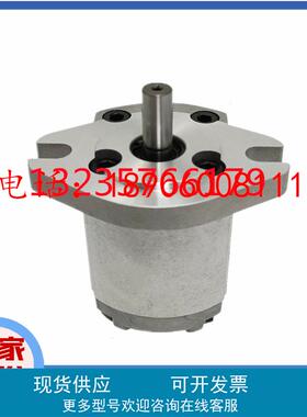HGP-3A-F6R/F8R/F11R/F13R/F14R/F17R/F19R/F23R齿轮油泵EGP F4R