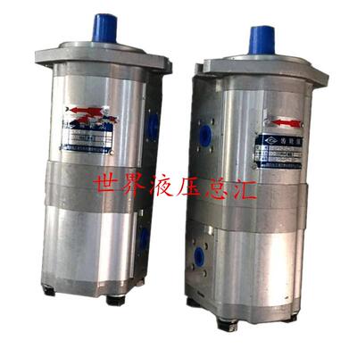 四川长江液压双联齿轮泵CBK1025/16-B4FR,CBK1025/25-B4FR /B4FL
