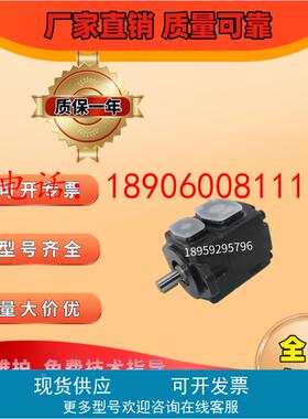 康百世齿轮泵 P106-RU01GT P107-RP01GT P107-RN01GT P107-RU01GT