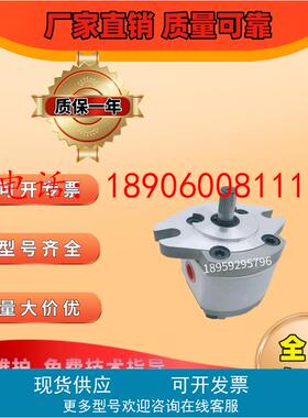 台湾KOMPASS康百世P107RP01GT P109RP01 P127RP P135RP01GT齿轮泵