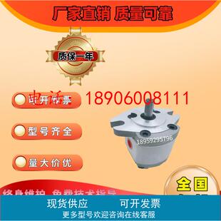 台湾KOMPASS康百世P107RP01GT P109RP01 P127RP P135RP01GT齿轮泵