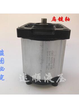 SR高压黑铁盖齿轮泵CBT-G304/306/310/314/316/320/325 液压油泵