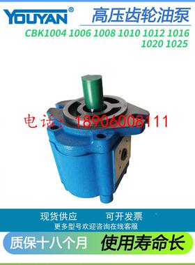 齿轮油泵CBK1008/1004/1006/1010/1012/1016/1020/1025-B1FR-A1FL