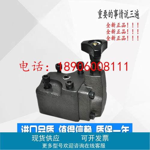 BG-03C-32 BT/BG-06H YF-B10H4-S 溢流阀BG-03-3-30 RV-03G/G06-3